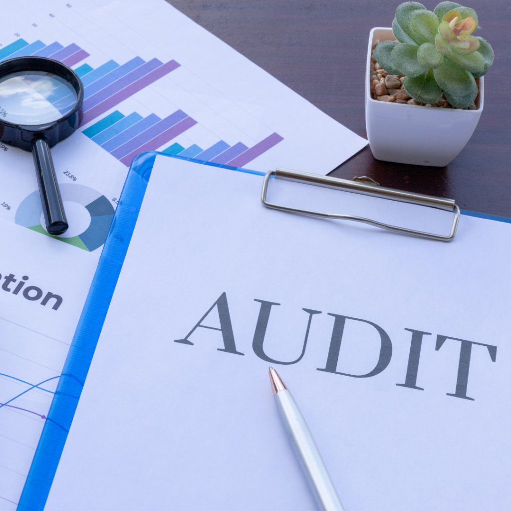 audit